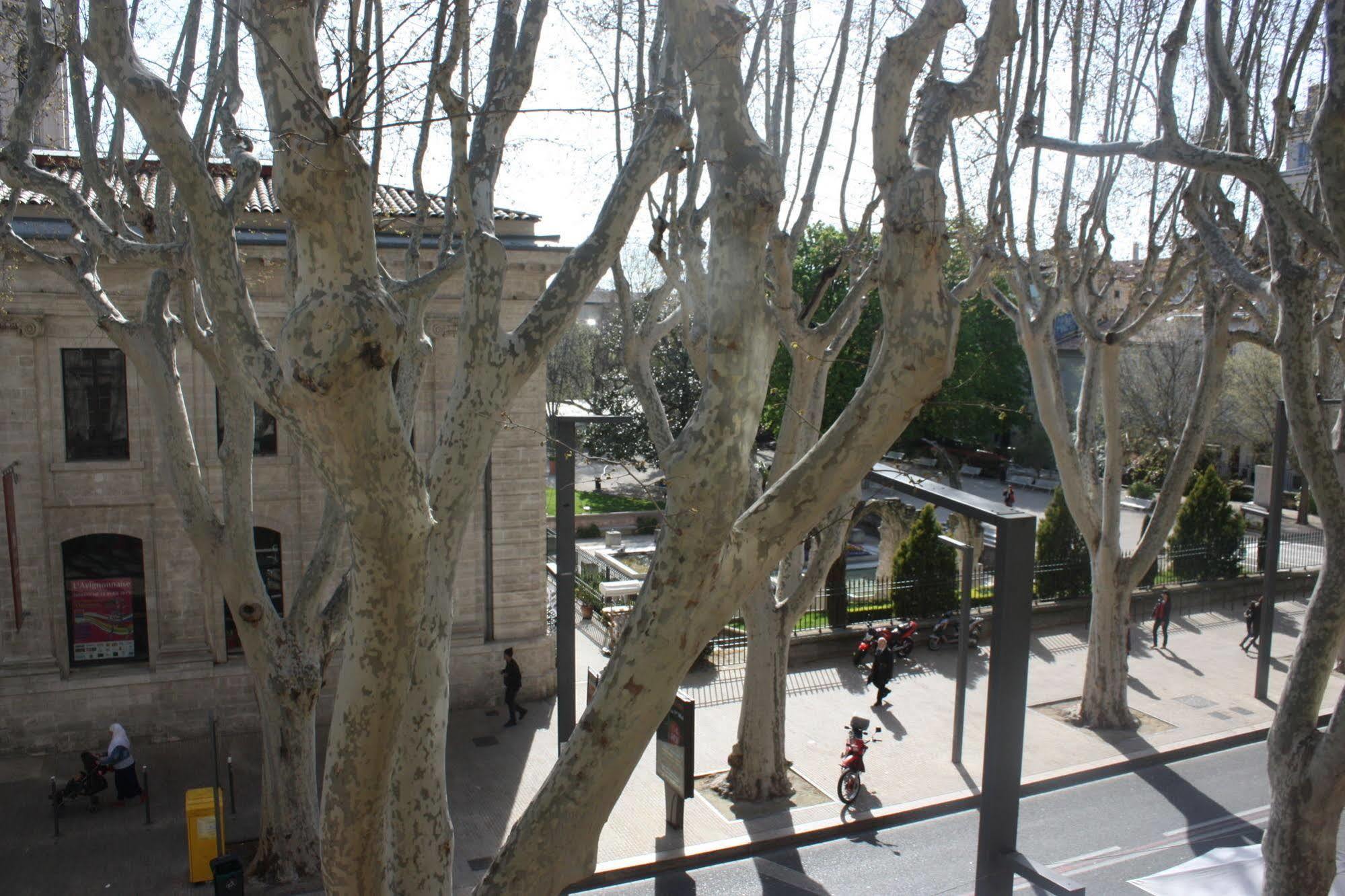 Hotel Alizéa Avignone Esterno foto